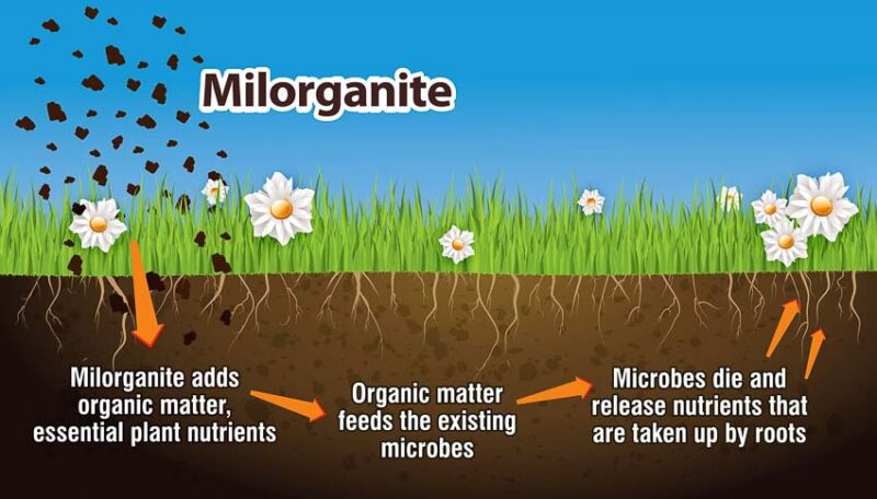 milorganite