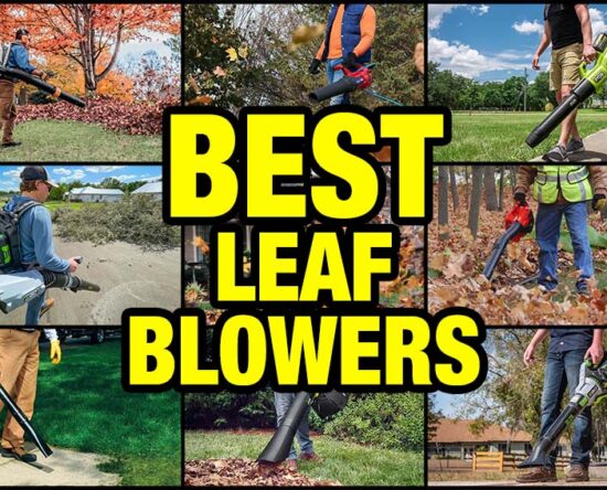 best leaf blowers 2023