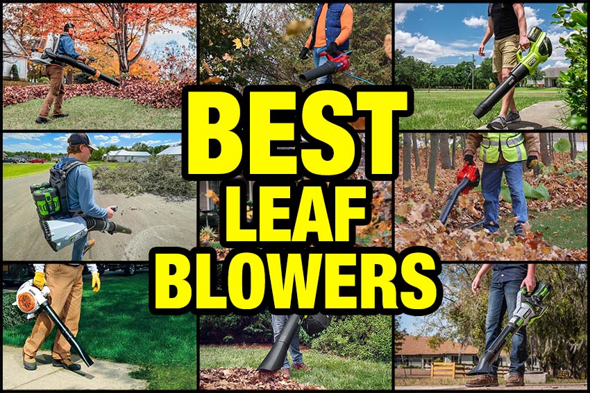 best leaf blowers 2023