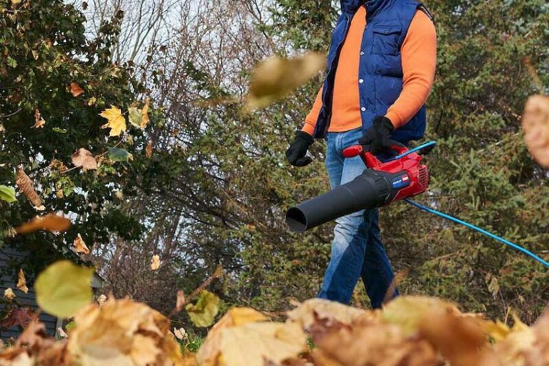 best leaf blower