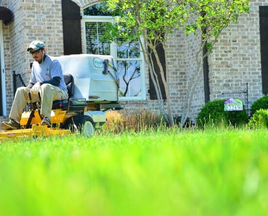 guide to lawn care cost