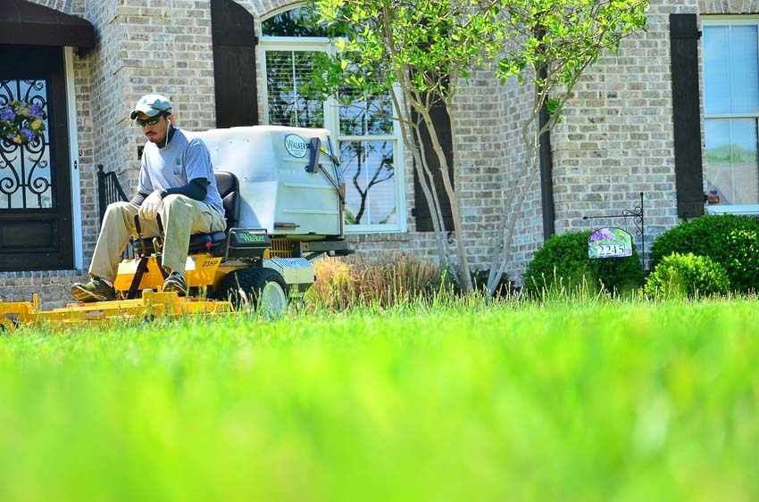 guide to lawn care cost