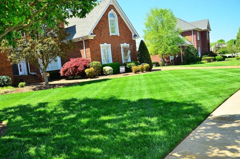 size of yard lawn care cost