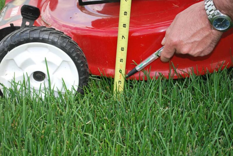 grass mowing height