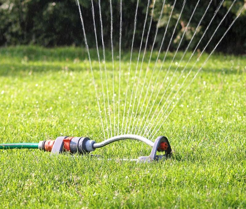 watering lawn