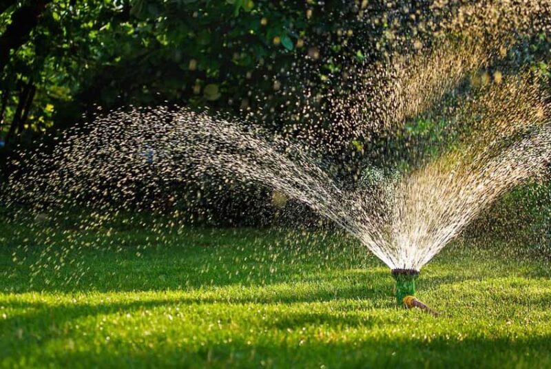 watering lawn