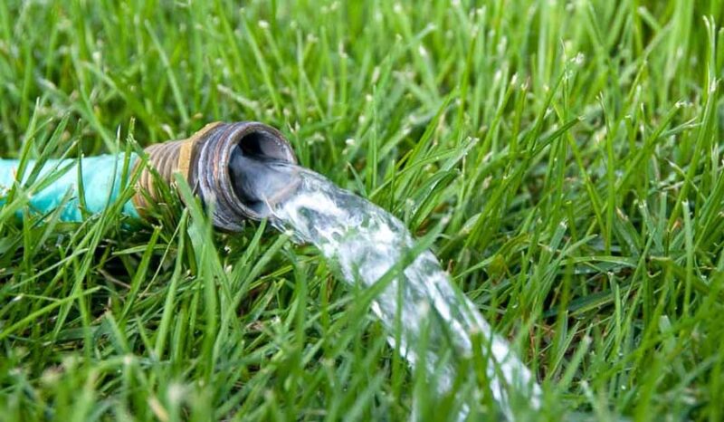 watering grass