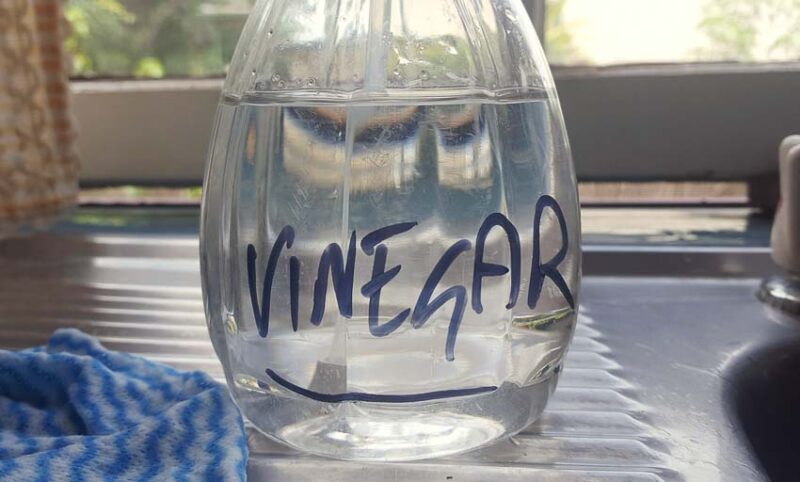 vinegar homemade herbicide