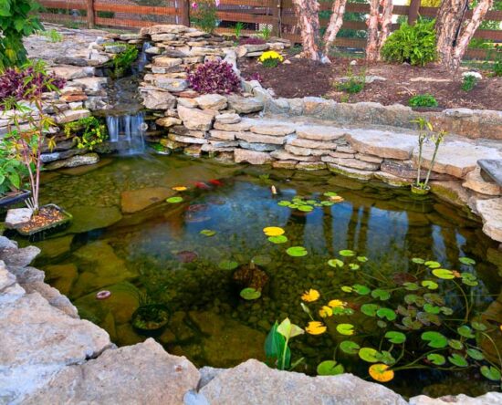 pond installation costs
