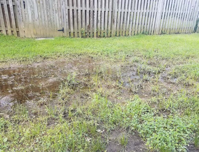 lawn with standing water problem