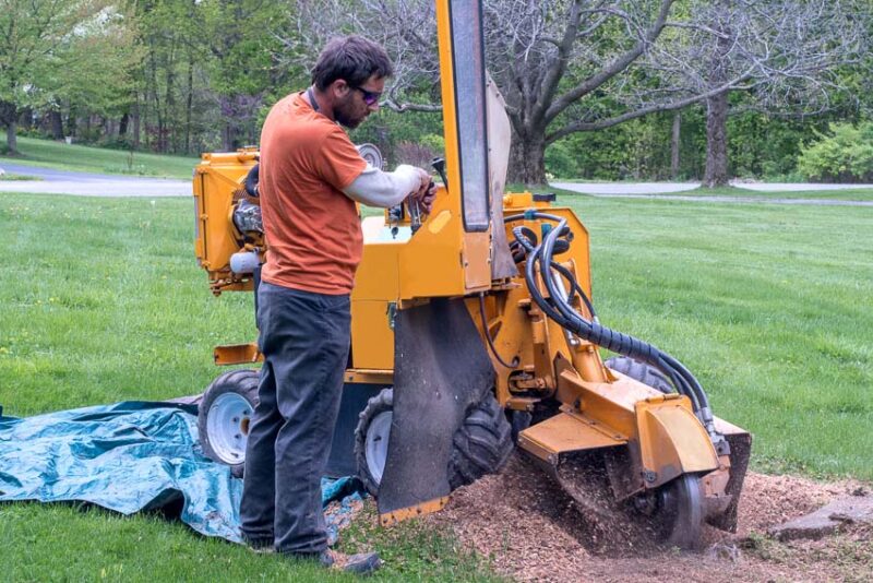 stump removal