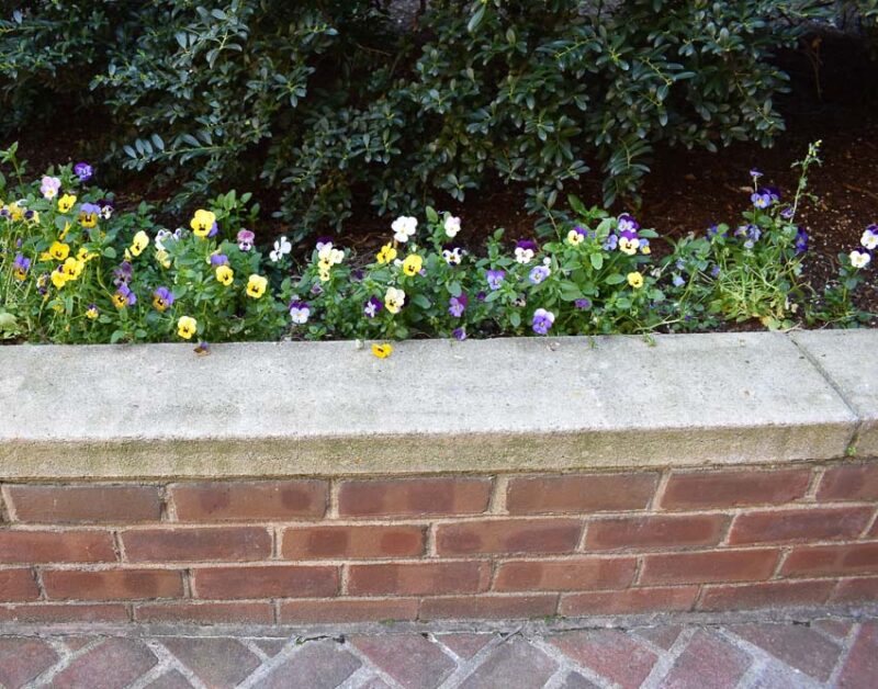 brick edging flower bed