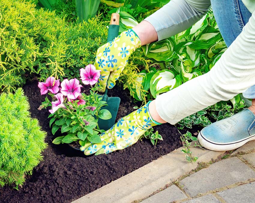 cost to install flower beds