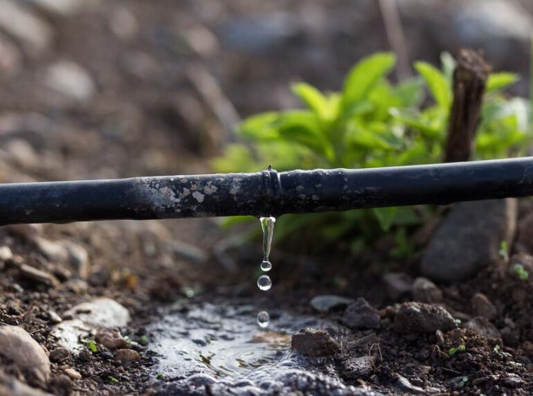 Drip Irrigation System Cost OPE Reviews