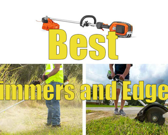Best Trimmers and Edgers