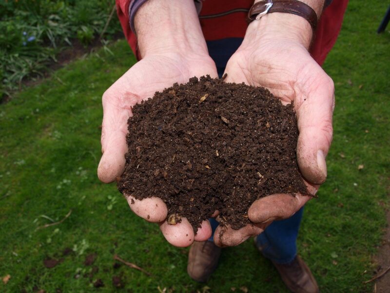 healthy soil leaf compost