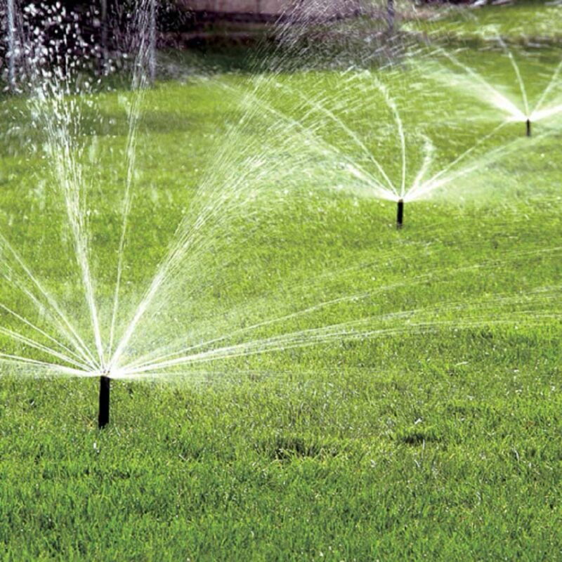 proper lawn watering techniques