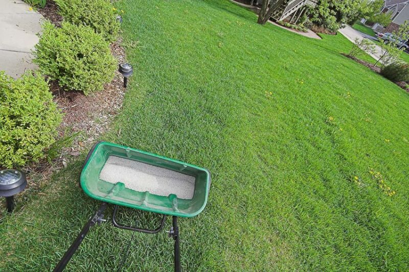 fertilizing lawn cost