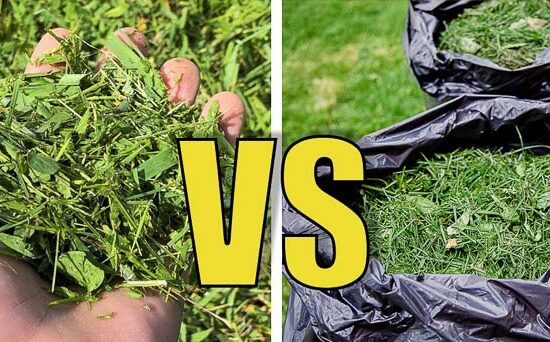 mulching vs bagging grass