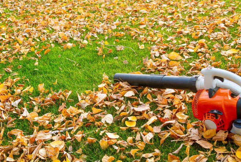 gas leaf blower