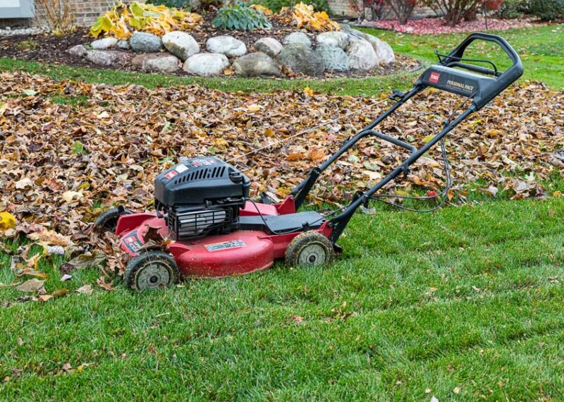 mulching mower to remove leaves from your yard