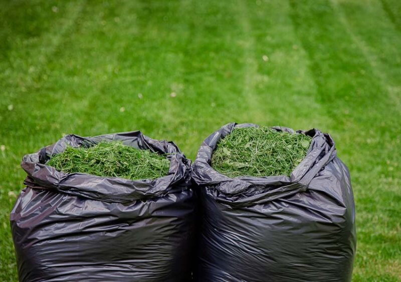 bagging grass