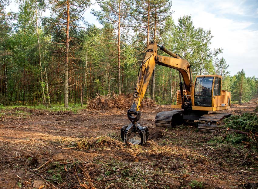 land clearing cost