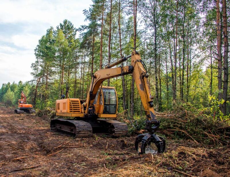 land clearing cost factors