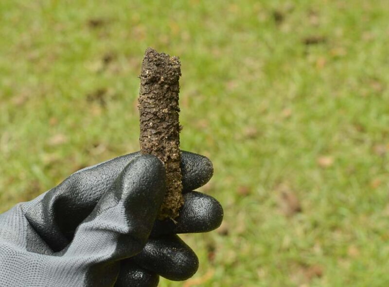 plug of soil from core aeration