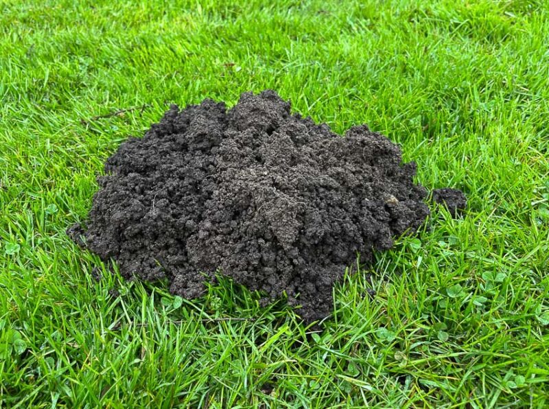 how to get rid of gopher mounds