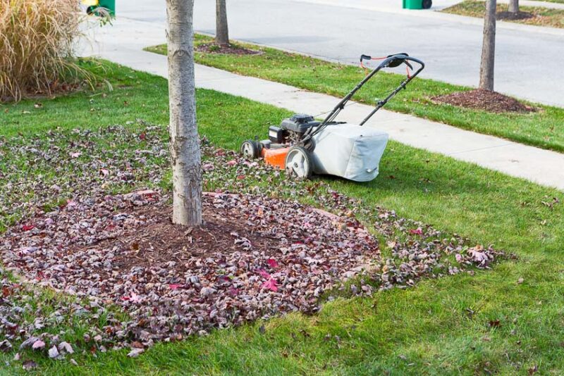 what is a mulching lawn mower and how it can help simplify yard work