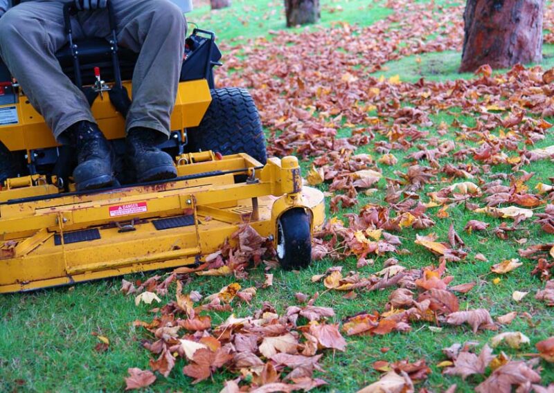 mowing lawn in the fall