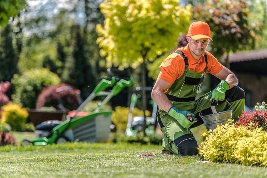 cost of hiring gardener