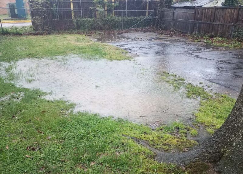 standing water in yard