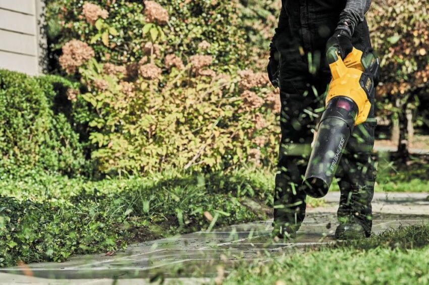 Dewalt leaf deals blower flexvolt