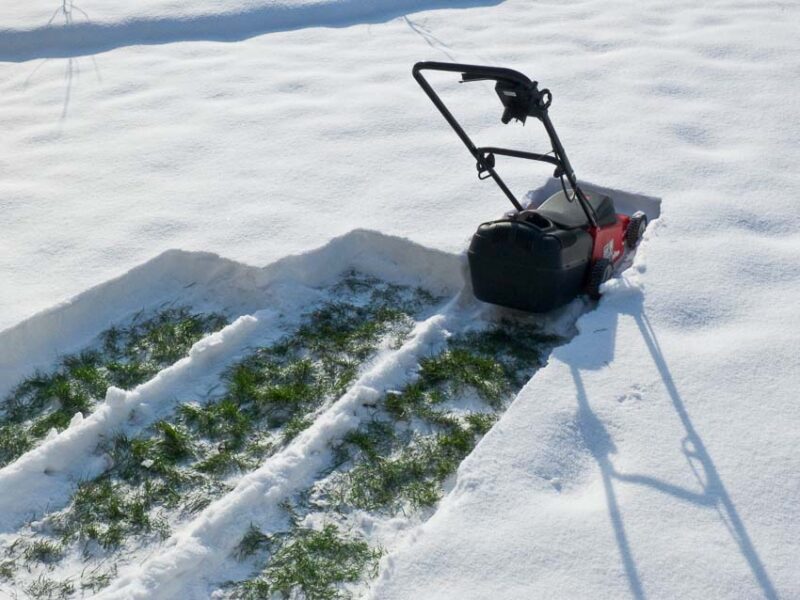 cost of snow removal in yards