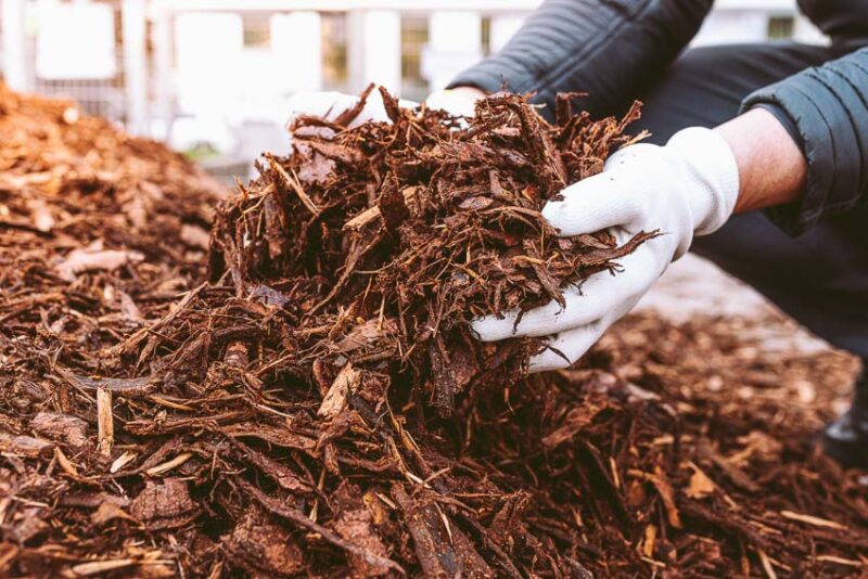 choosing the right kind of mulch when preparing your plants for a midwest winter