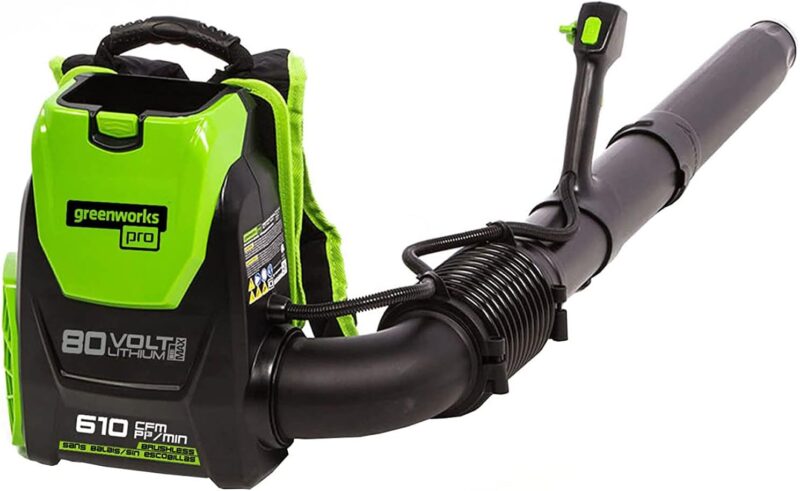 Best lightweight backpack blower Greenworks BPB80L00