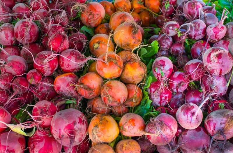 beets grown in the midwest