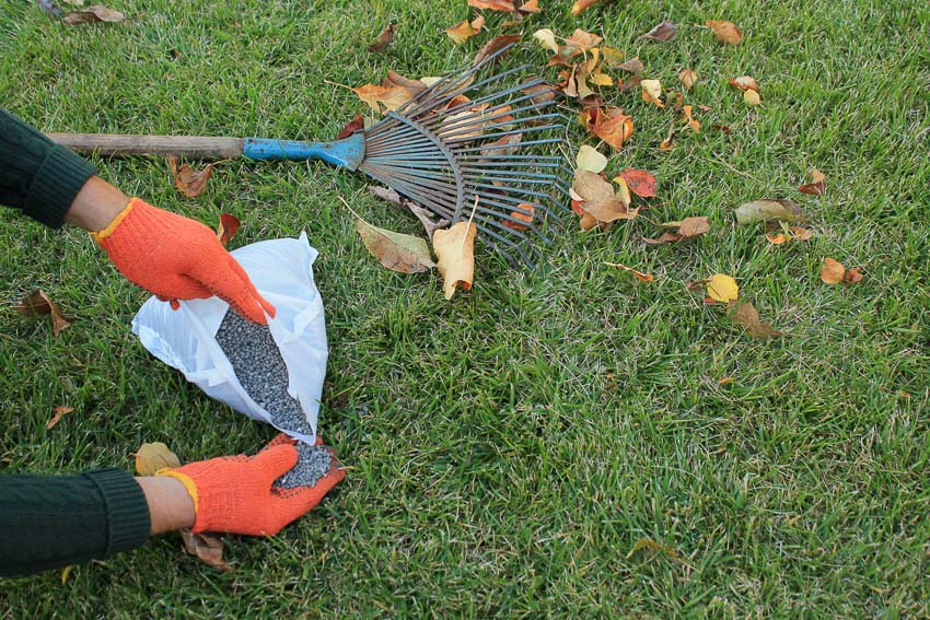 how to fertilize your lawn in the fall
