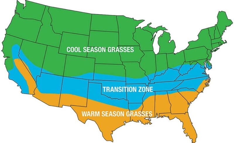 types of grass for different regional climate zones