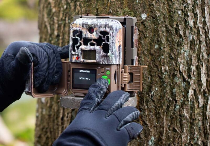 setting up trail cam to identify animals