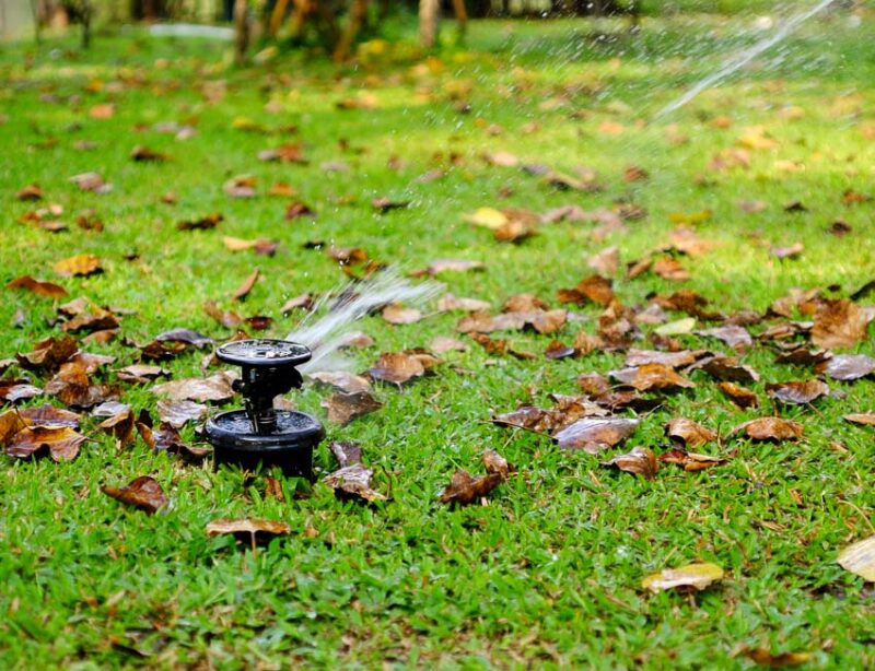 watering Southern lawns throughout the winter