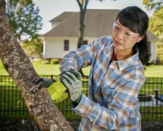 ryobi 6 inch pruning chainsaw